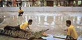 langkawi crocodile farm taxi teksi service