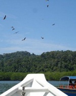 Langkawi island hopping