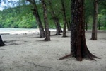 Langkawi island hopping